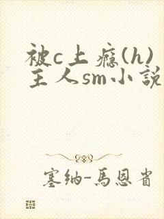 被c上瘾(h)主人sm小说