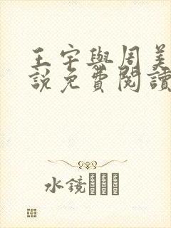 王宇与周美琴小说免费阅读