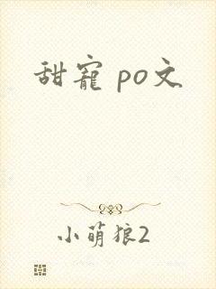 甜宠 po文