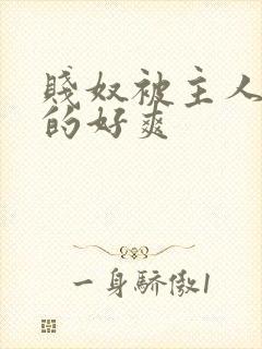 贱奴被主人调教的好爽封面