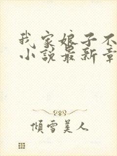 我家娘子不对劲小说最新章节列封面