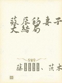 苏辰的妻子小说大结局