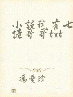 小说我有七个大佬哥哥txt