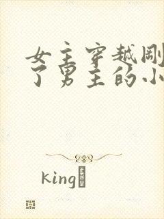 女主穿越刚好救了男主的小说封面