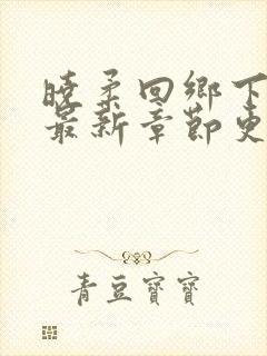 晓柔回乡下小说最新章节更新内容