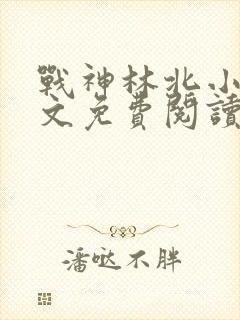 战神林北小说全文免费阅读封面