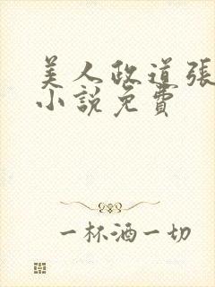 美人政道张明政小说免费封面