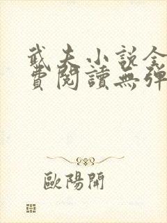 武夫小说全文免费阅读无弹窗封面