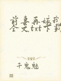 前妻再嫁我一次全文txt下载