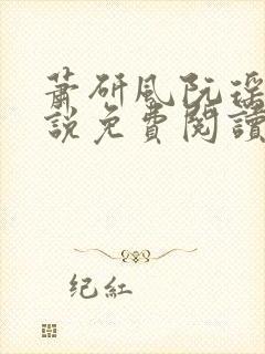 萧研风阮瑶光小说免费阅读最新章节