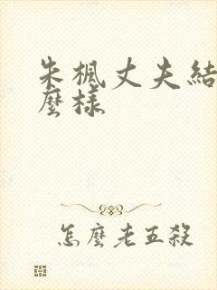 朱枫丈夫结局怎么样