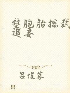 双胞胎总裁虐心追妻封面