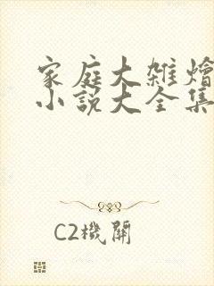 家庭大杂烩经典小说大全集