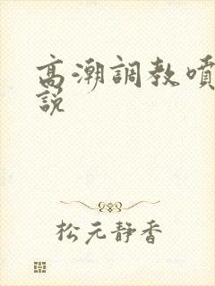 高潮调教喷水小说封面