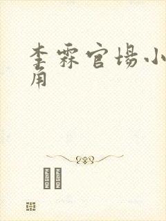 李霖官场小说主角