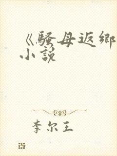《骚母返乡记》小说