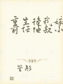 重生后我嫁给了前任他叔小说