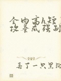 全肉高h短篇总攻养成强制合集