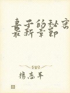 妻子的秘密小说最新章节