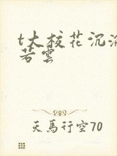 t大校花沉沦赵若云