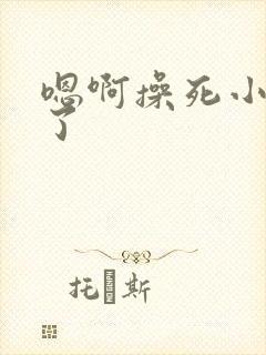 嗯啊操死小骚货了