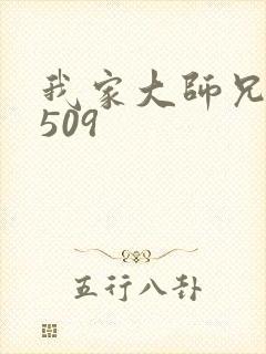 我家大师兄漫画509