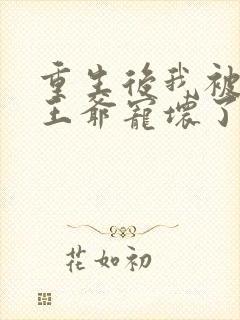 重生后我被偏执王爷宠坏了 小说