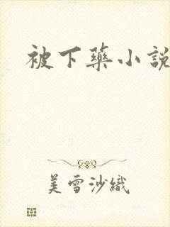 被下药小说封面