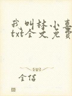我叫林小喜乖宝txt全文免费阅读