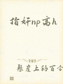 指奸np高h
