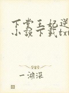 下堂王妃逆袭记小说下载txt