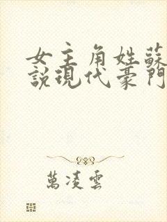 女主角姓苏的小说现代豪门小说封面