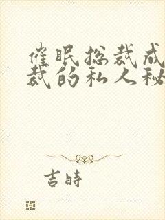 催眠总裁成为总裁的私人秘书小说