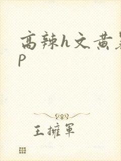 高辣h文黄暴np