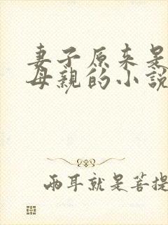 妻子原来是亲生母亲的小说阅读