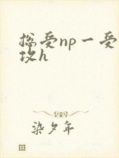 总受np一受多攻h