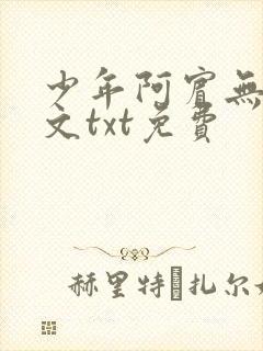 少年阿宾无删全文txt免费