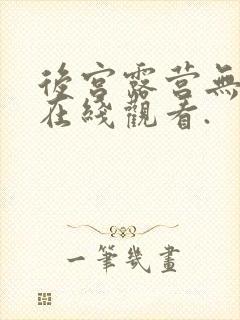 后宫露营无删减在线观看.