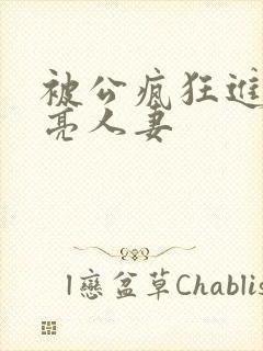 被公疯狂进入漂亮人妻