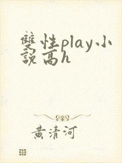 双性play小说高h