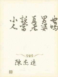 小说直男也能给人当老婆吗