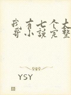 我有七个大佬哥哥小说完整版封面