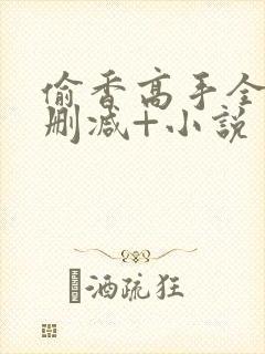 偷香高手全文无删减+小说封面