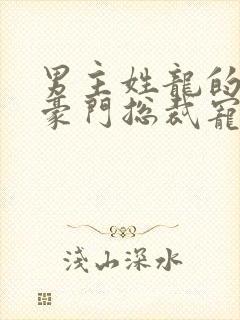 男主姓龙的小说豪门总裁宠文