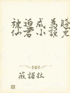 被迫成为贱妾的仙君小说免费阅读最封面