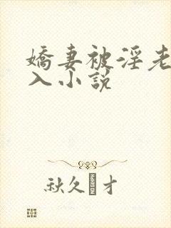 娇妻被淫老头进入小说