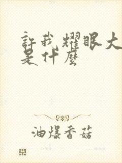 许我耀眼大结局是什么