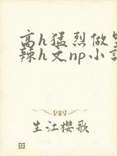 高h猛烈做哭高辣h文np小说封面