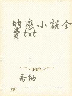 明恋小说全文免费txt封面