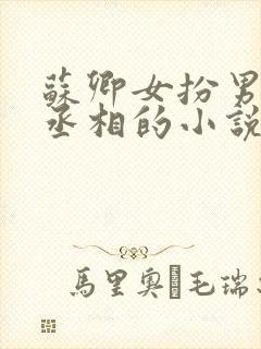 苏卿女扮男装是丞相的小说封面